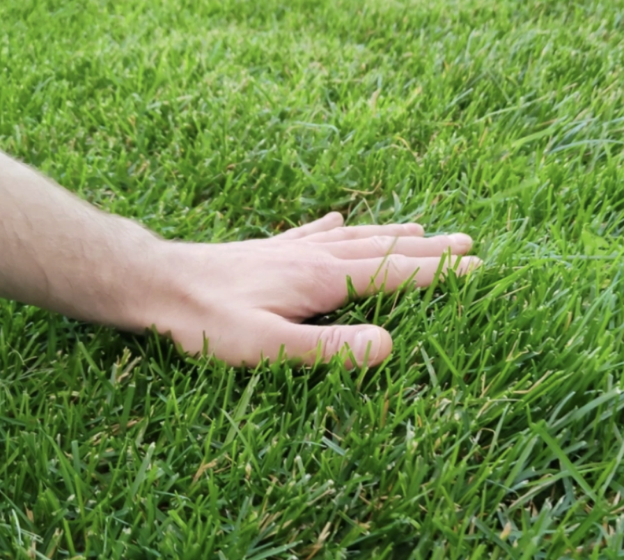 Organo-Bacter organische gazonmeststof